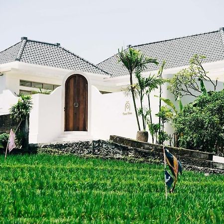 New Design Villa Casa Alma 3Bdr With Private Pool, Canggu Exterior foto
